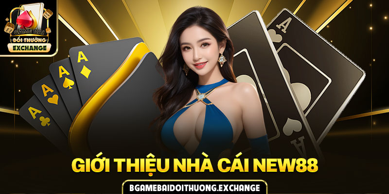 Giới thiệu nhà cái NEW88